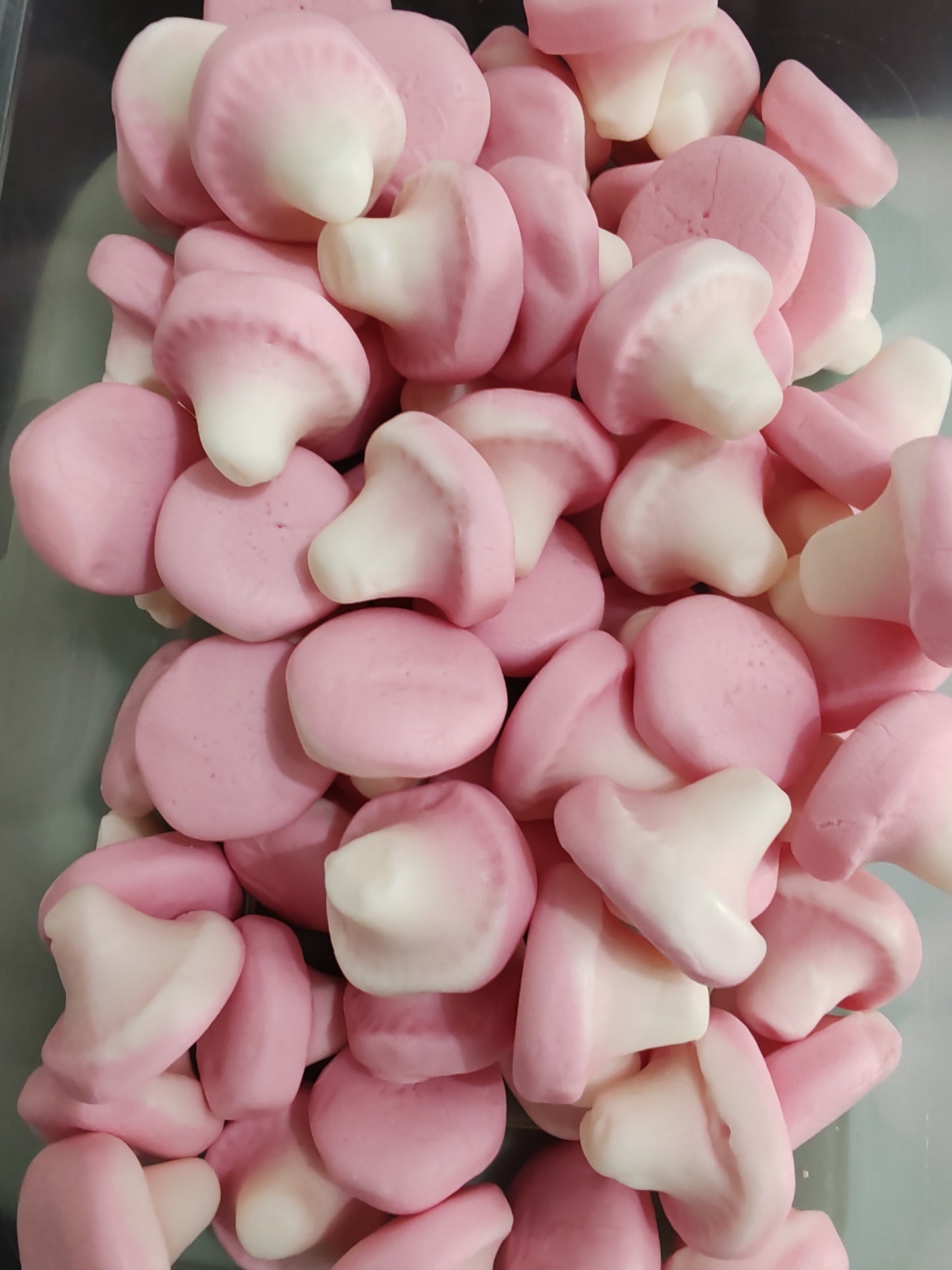Foam Mushrooms