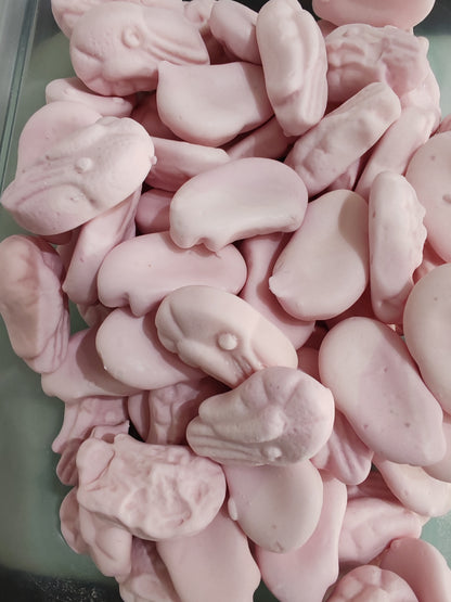 Pink Shrimp